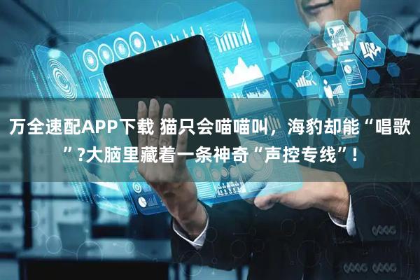 万全速配APP下载 猫只会喵喵叫，海豹却能“唱歌”?大脑里藏着一条神奇“声控专线”!
