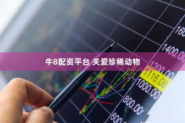牛8配资平台 关爱珍稀动物
